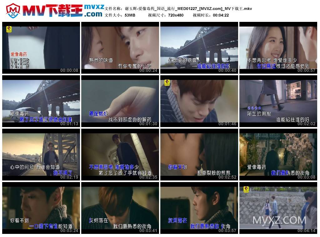 谢玉辉-爱像毒药_国语_流行_MED01227